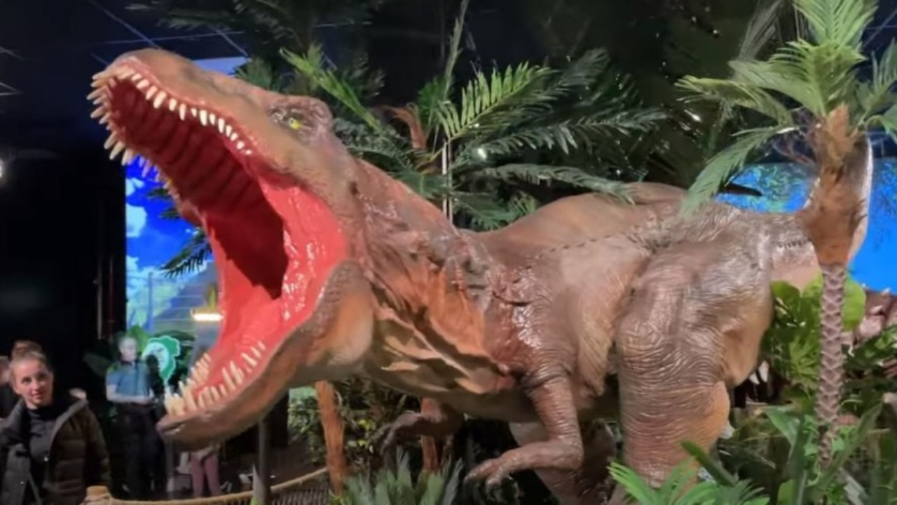 Des Dinosaures Plus Vrais Que Nature La Valette Du Var